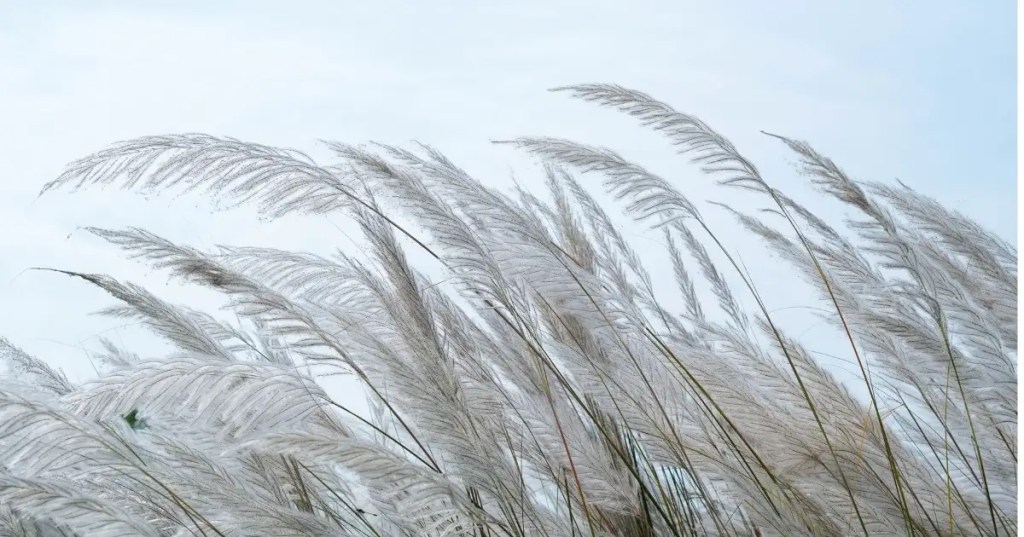 Într-o zi nu voi mai&nbsp;fi…